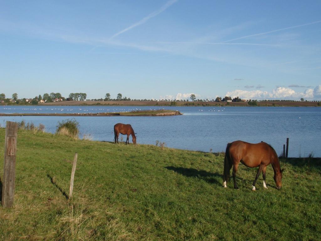 Appartementanlage Zur Seemoewe Insel Poel Exterior photo